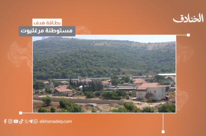 بطاقة هدف: مستوطنة مرغليوت