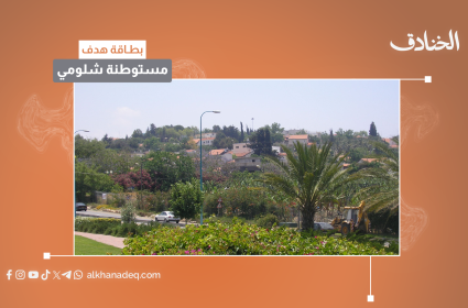 بطاقة هدف: مستوطنة شلومي